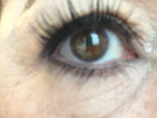 These are my natural lashes with JUST tint & lift by Santu. Not even mascara needed!