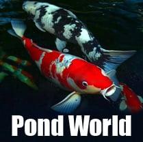 Pond World, LLC