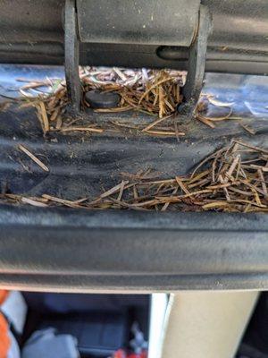 Hatchback gutter still full of pine needles after detailing