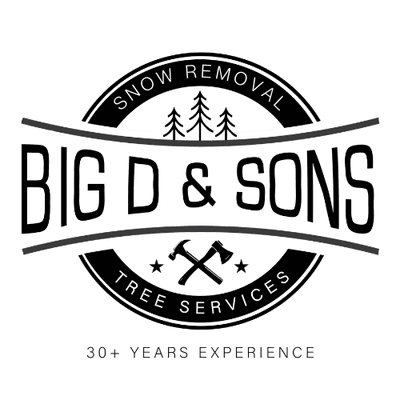 Big D and Sons