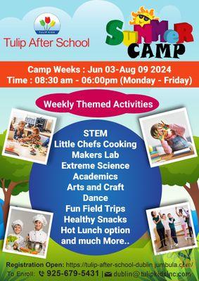 Tulip Kids Academy