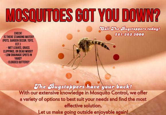 We offer a variety of Mosquito control, including Fogging, Misting Systems, Granules, and more! Call us Today at 281-363-3000!