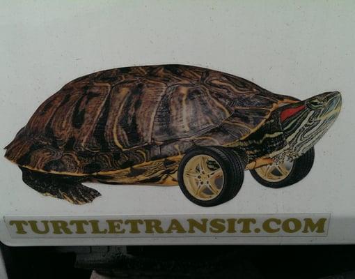 Turtle Transit