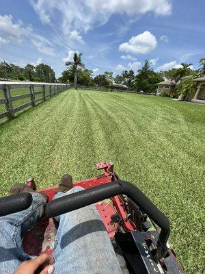 Grass cut