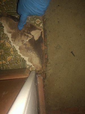 40% containing asbestos vinyl flooring