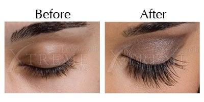 Xtreme Lashes - the industry leader in options, quality, and standards!