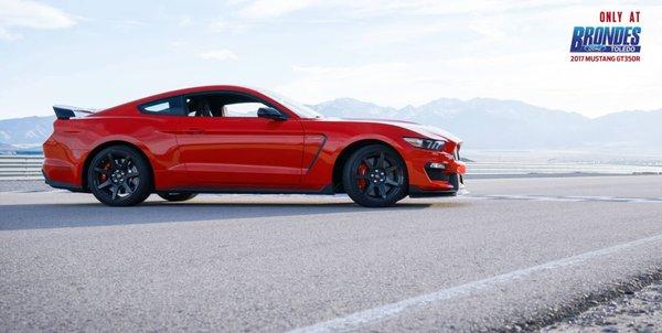 Ford Mustang GT350 at Brondes Ford Toledo