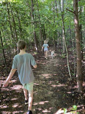 The trail continues through the surrounding woods