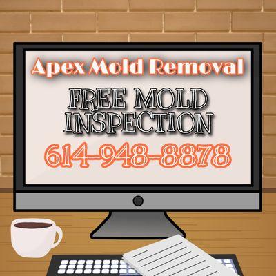 Certified Mold Removal and Clean-up Columbus Ohio