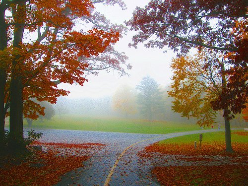 Beautiful fall colors