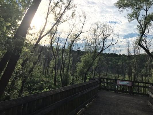 Swamp Boardwalk on Walnut Creek Trail