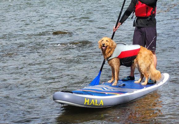 Youghiogheny Stand Up Paddleboarding