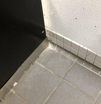 Filthy men's restroom floor.  They are always dirty