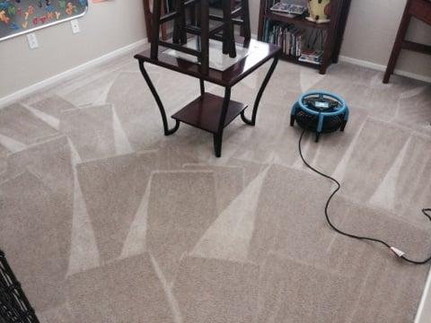 Aim to Please
 Carpet Cleaning Specialists
 People, pet and eco-friendly cleaning agents.
 Quick-Drying Methods