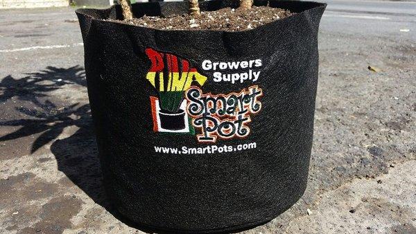 Smart Pot Customs