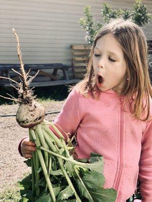 Gardening class