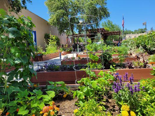 Armed Forces Pavilion And Community Garden