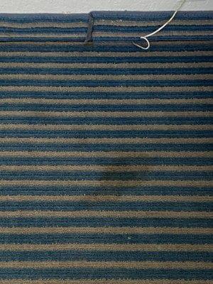 More carpet stains.