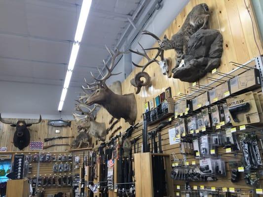 Pronghorn Country Ace Hardware