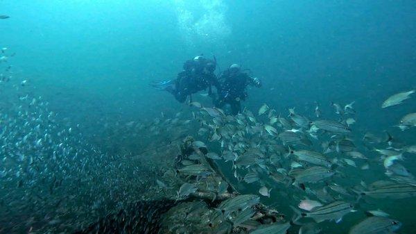 Big Blue Dive Boat