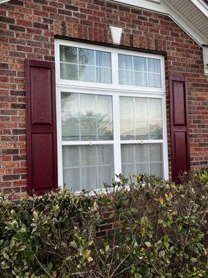 Painted Shutters