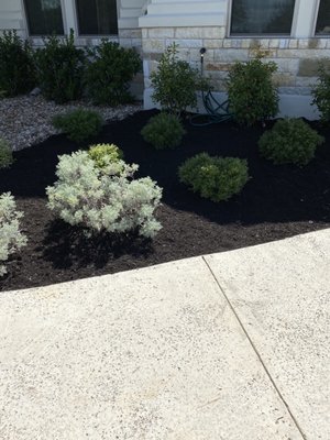 Mulch Installation