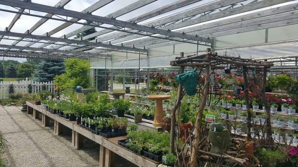 Inside greenhouse 1