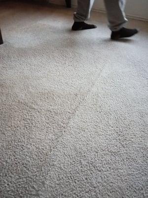 Anew Carpet Cleaning