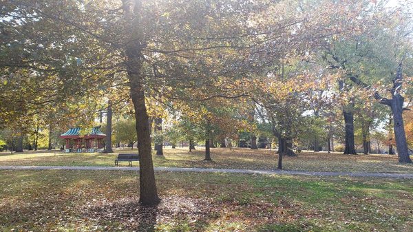 Tower Grove Park. A popular spot for clients to workout.