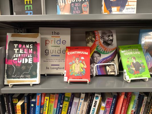 Display in the teen section during Pride month