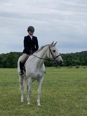 Shimmer at local horse show