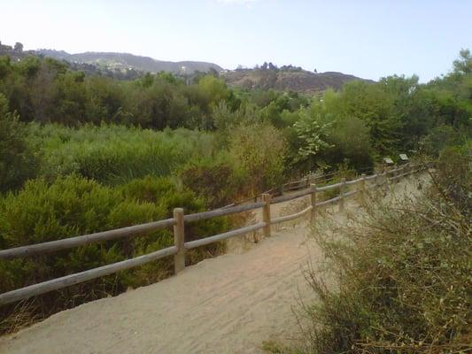 San Diego River Trail, Lakeside Reach,near the west end observation deck.