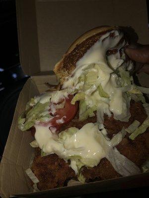 I got 2 tomatoes and a shit load of mayonnaise.