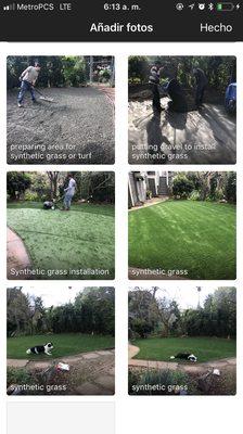 synthetic grass