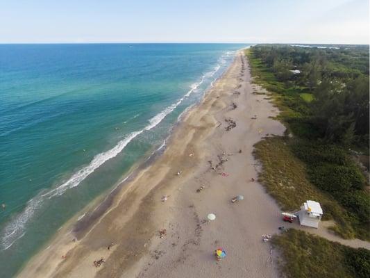 This is the beautiful Hobe Sound beach on Jupiter Island.