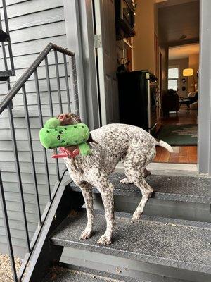 Darla with cactus toy