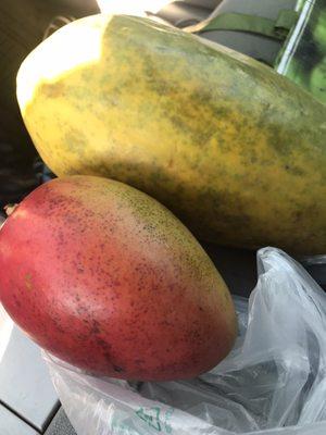 Tropical fruits papaya. Mango  delicious