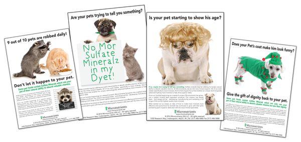 Flyers designed for an Animal Nutrition company for a Trade Show.