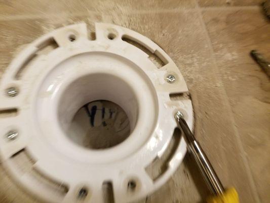 Toilet flange after installation