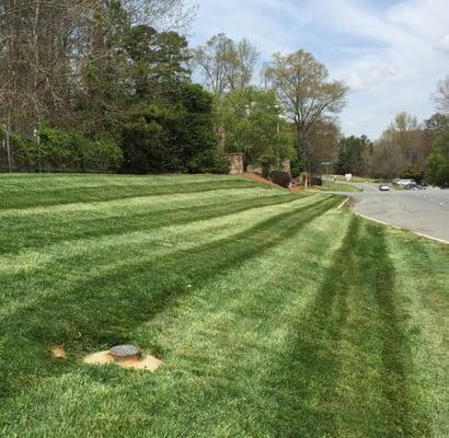 Carolina Roots Landscaping