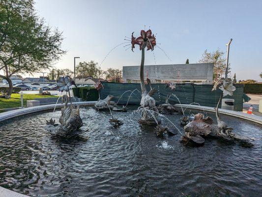 Amaryllis Fountain