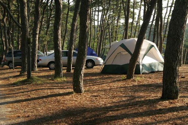 Maurice's Campground