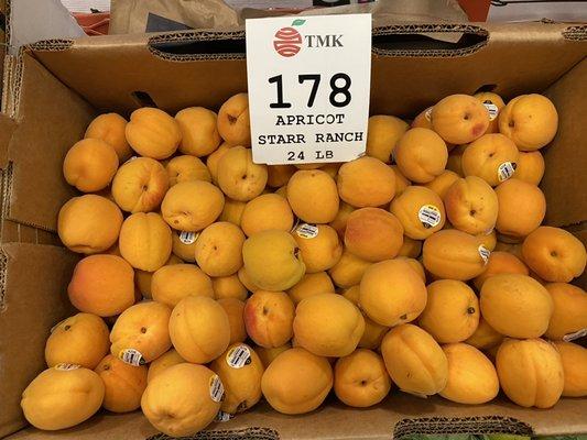 Super sweet and perfectly ripe apricots from Washington State