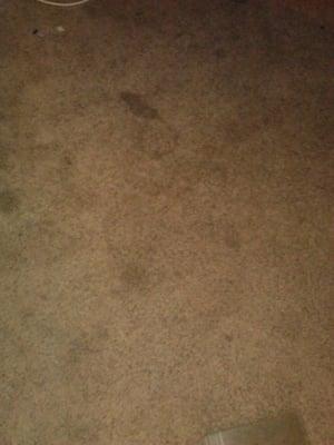 carpet stains where bad, ans they said they cleaned them! wtff?