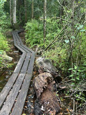 Lake Griffin State Park