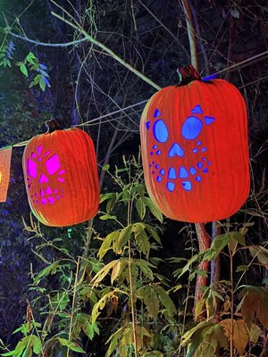 Day of the dead