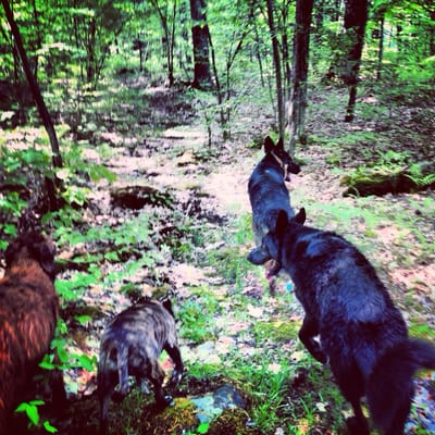 Group hike