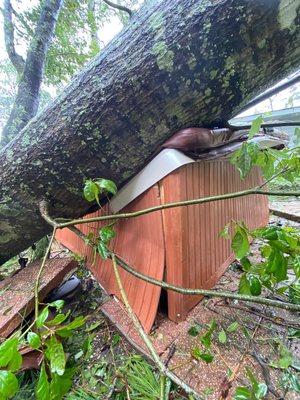 Not covered. We will pay a minimum of 1000$for tree removal but the jacuzzi isn't covered..... sorry homeowner.