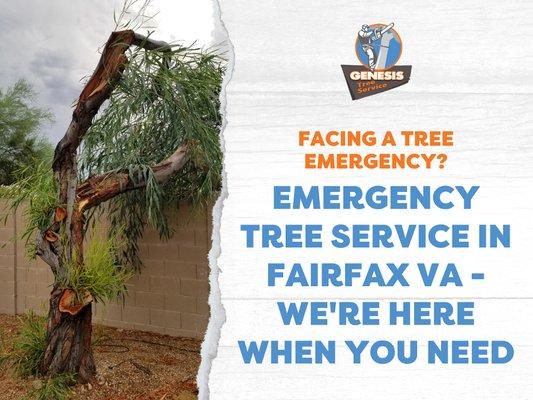 12_Genesis Tree Service_Emergency Tree Service in Fairfax VA - We_re Here When You Need.png