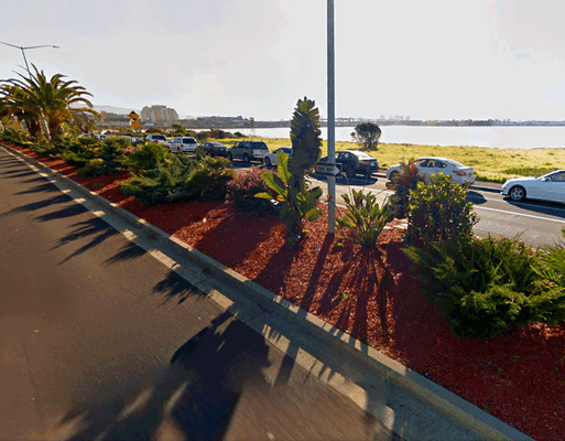 Beautiful views along Powell Street — at Emeryville's Watergate complex.